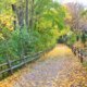 Perkiomen Trail in Autumn