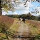 Horseback Riding on Perkiomen Trail